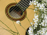 guitar in flower bed